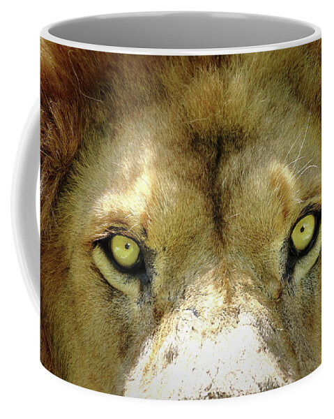 Lion Coffee Mug featuring the photograph Stare Down by Lens Art Photography By Larry Trager