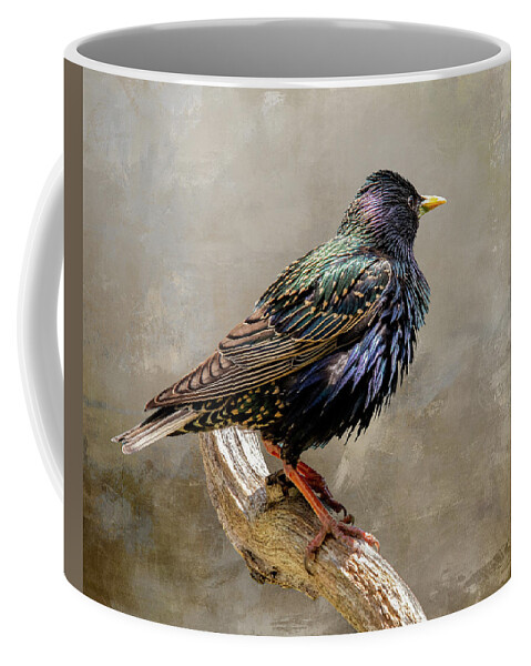 Bird Coffee Mug featuring the photograph Starling Portrait by Cathy Kovarik