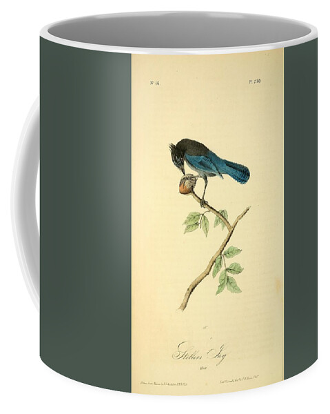 Birds Coffee Mug featuring the mixed media Stellers Jay by John Audubon