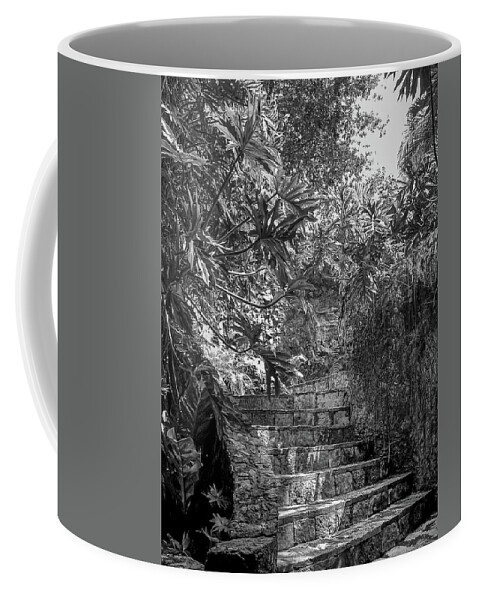 Chichen Itza Coffee Mug featuring the photograph Steps Near Cenote Chichen Itza by Frank Mari
