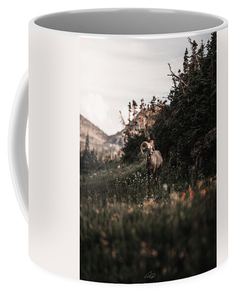  Coffee Mug featuring the photograph Stoic Bighorn by William Boggs