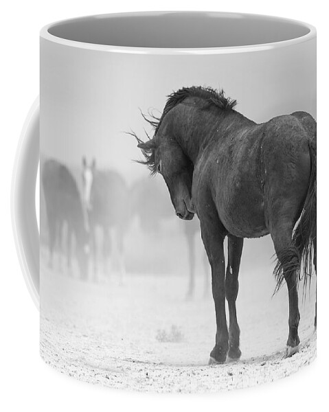 Stallion Coffee Mug featuring the photograph Stoic Stallion. by Paul Martin