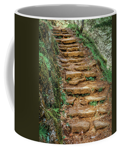 Stairs Coffee Mug featuring the photograph Stone Stairs by Randy Bradley