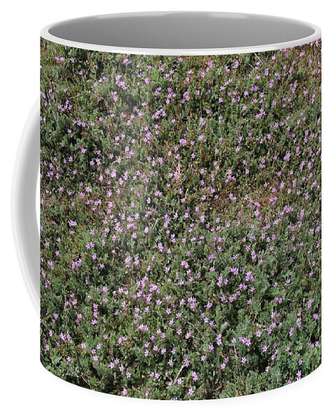 Purple Coffee Mug featuring the photograph Storksbill by Doug Miller