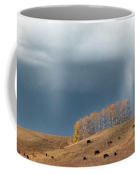 Pasture Coffee Mug featuring the photograph Storm over an Alberta fall pasture by Karen Rispin