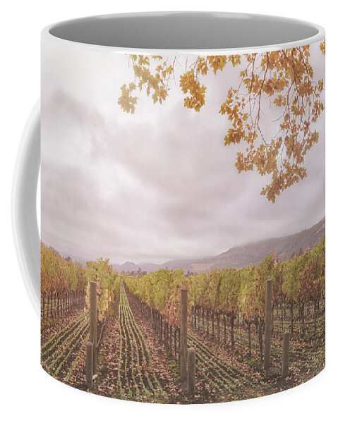 Season Coffee Mug featuring the photograph Storm Over Vines by Jonathan Nguyen