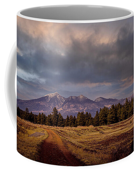 Wetlands Coffee Mug featuring the photograph Stormy Skies by Laura Putman