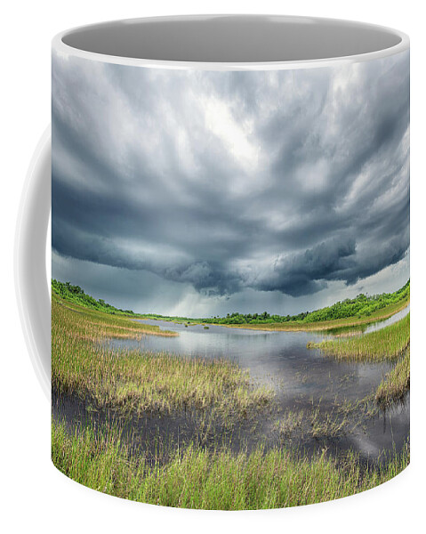 Fakahatchee Strand State Preserve Coffee Mug featuring the photograph Stormy Skies by Rudy Wilms