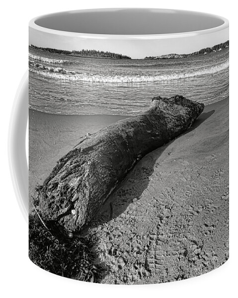 Popham Coffee Mug featuring the photograph Stranded Beast on Popham Beach by Olivier Le Queinec
