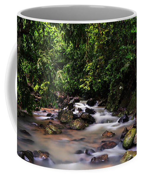 Stream Coffee Mug featuring the photograph Stream in the jungles by Vishwanath Bhat
