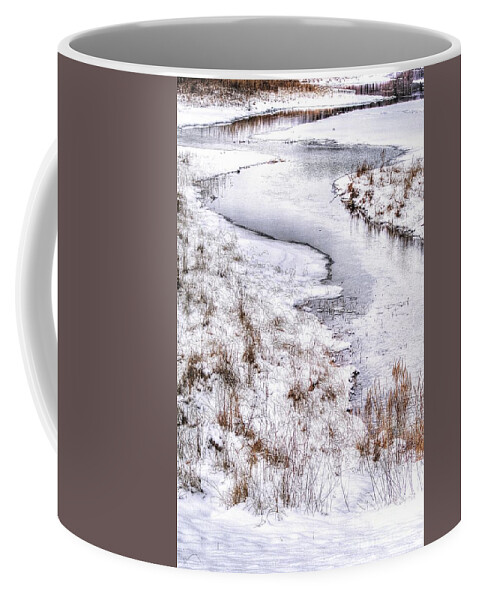  Stream Coffee Mug featuring the photograph Stream in Winter by Randy Pollard