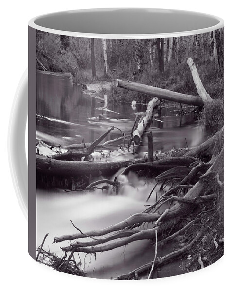 California Coffee Mug featuring the photograph Stream near Lee Vining, California by Jeff White