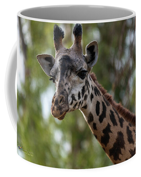 San Diego Zoo Coffee Mug featuring the photograph Stretching My Neck Out for This Photograph by David Levin