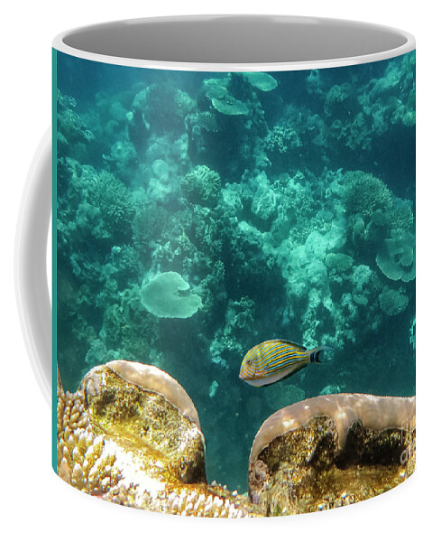 Great Barrier Reef Coffee Mug featuring the photograph Striped Surgeonfish Two by Bob Phillips