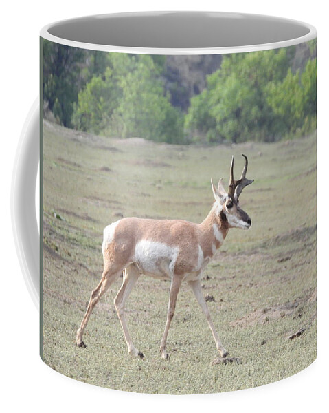 Antelope Coffee Mug featuring the photograph Strolling Antelope by Amanda R Wright