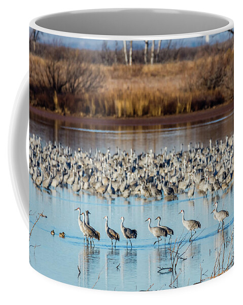 Great Salt Plains Coffee Mug featuring the photograph Strolling Sandhill Cranes by Debra Martz