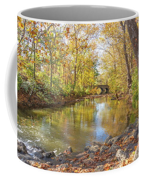 Autumn Coffee Mug featuring the photograph Struck Gold by Cathy Donohoue