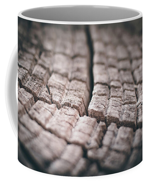 Tree Coffee Mug featuring the photograph Stumped by Kevin Schwalbe