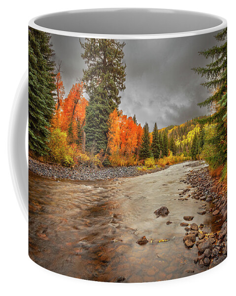 Nature Coffee Mug featuring the photograph Stunning Patch of Orange by Steven Reed