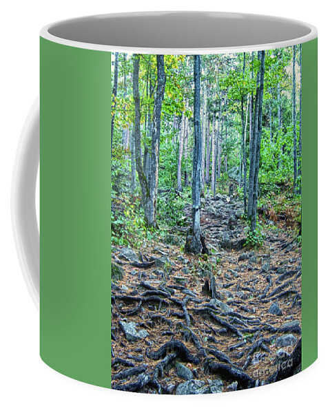 Nature Coffee Mug featuring the photograph Sugarloaf Mountain Trail by Phil Perkins