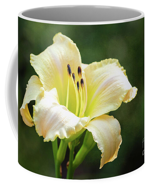 Daylily Coffee Mug featuring the photograph Summer Delight - Pink Apricot Serenade Daylily by Anita Pollak