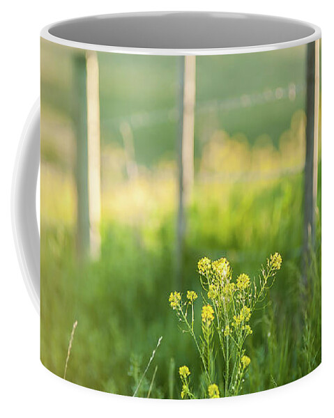 Green Coffee Mug featuring the photograph Summer Dreaming by Linda McRae