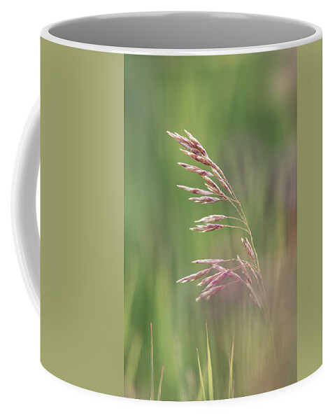 Agriculture Coffee Mug featuring the photograph Summer hay seeds by Karen Rispin
