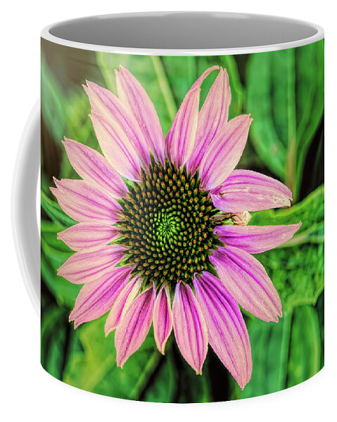 Cone Flower Coffee Mug featuring the photograph Summer Joy by Steve Sullivan