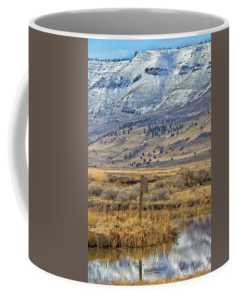Oregon Coffee Mug featuring the photograph Summer Lake Reflection by Tom Kelly