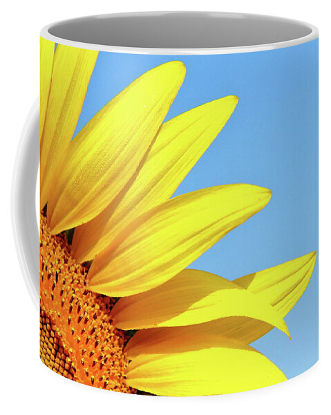 Sunflower Coffee Mug featuring the photograph Summer Shunshine by Lens Art Photography By Larry Trager