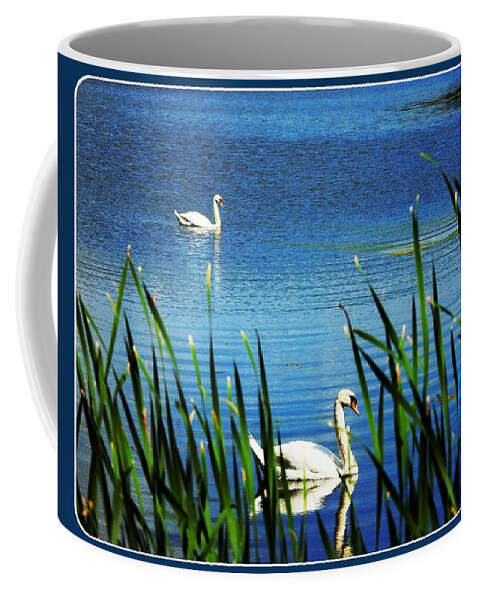 Swan Coffee Mug featuring the photograph Summer Swans by Judy Stepanian