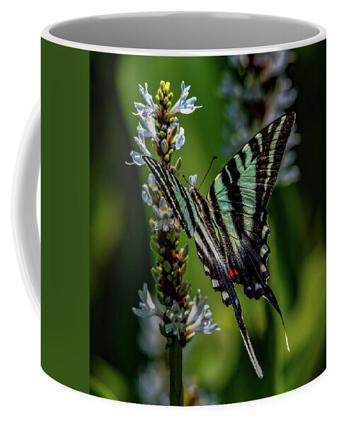 Bloom Coffee Mug featuring the photograph Summer Zebra Swallowtail by Brian Shoemaker