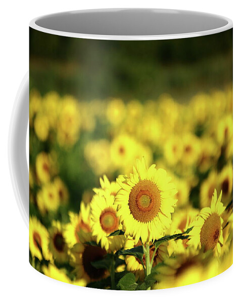 Summer Coffee Mug featuring the photograph Summertime Glow by Lens Art Photography By Larry Trager