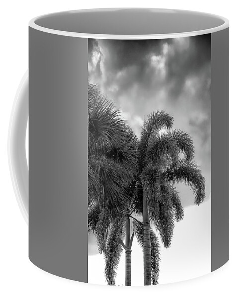 Palms Coffee Mug featuring the photograph Sun and Clouds Behind Palms by Alan Goldberg