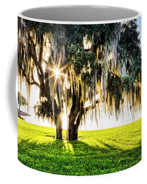 Clouds Coffee Mug featuring the photograph Sun and Shadows by Debra and Dave Vanderlaan
