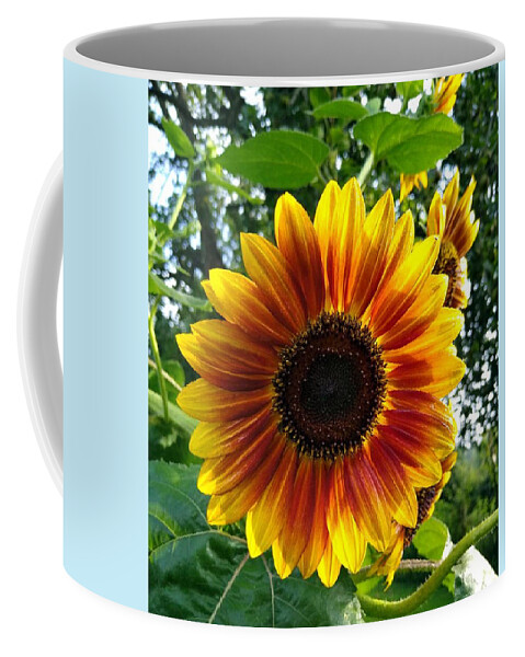Sun Glow Flower Coffee Mug featuring the digital art Sun Glow Face by Pamela Smale Williams
