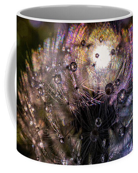 Rain Drops On Dandelion Coffee Mug featuring the photograph Sun glow through dandelion by Lilia S