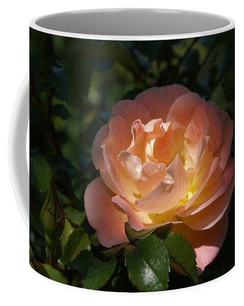  Coffee Mug featuring the photograph Sun-kissed Rose by Heather E Harman