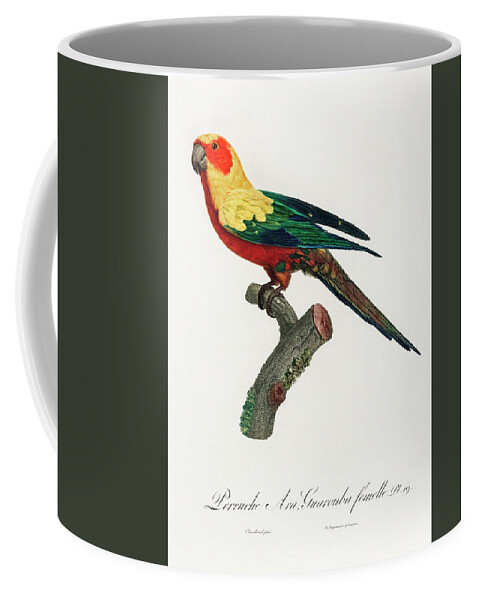 Sun Parakeet Coffee Mug featuring the mixed media Sun parakeet by Beautiful Nature Prints