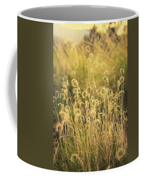 Mountain Coffee Mug featuring the photograph Sun Swirls by Go and Flow Photos