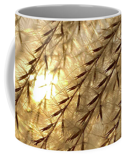 Pampas Coffee Mug featuring the photograph Sun through the Seeds - Pampas Grass backlit by sun by Peter Herman