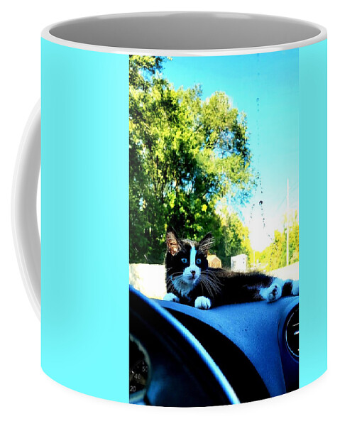 Sun Coffee Mug featuring the photograph Sunbathing on the dash by Shalane Poole