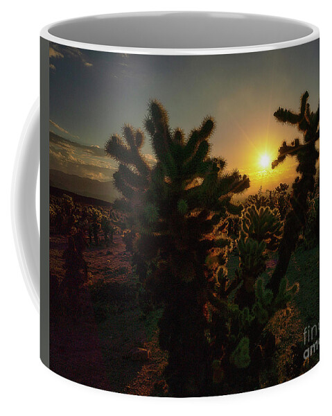 Cholla Garden Coffee Mug featuring the photograph Sunburst over Chollas by Izet Kapetanovic