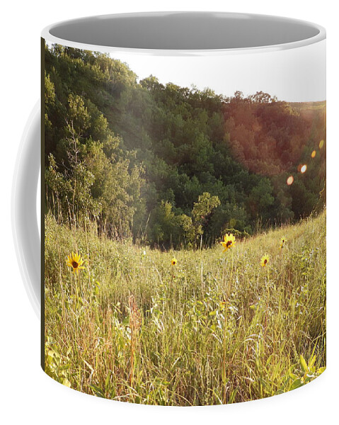 Sunflowers Coffee Mug featuring the photograph Sunburst Sunflowers by Amanda R Wright