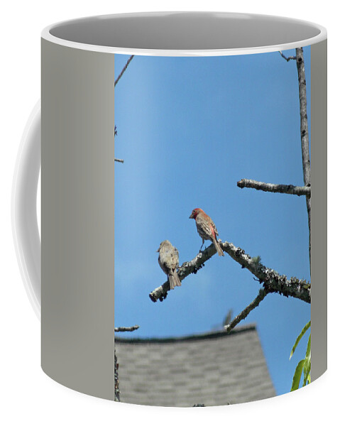 Birds Coffee Mug featuring the photograph Sunday Visitors by Matthew Seufer