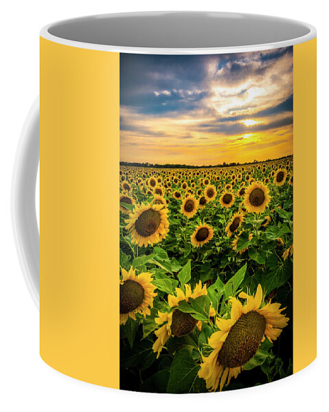 Summer Coffee Mug featuring the photograph Sundown at Wilder Family Limousin by David Morefield