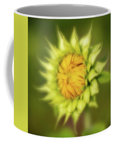 2020 Coffee Mug featuring the photograph Sunflower-3 by Charles Hite
