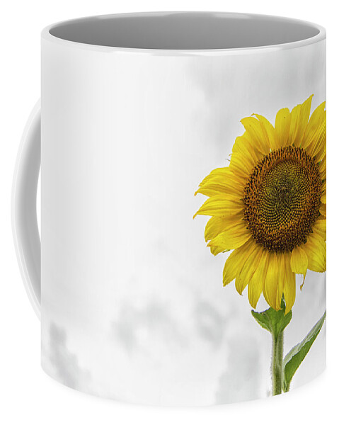 Sunflower Coffee Mug featuring the photograph Sunflower Against a Carolina Sky by Bob Decker