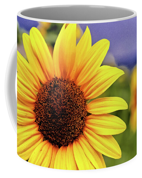 Sunflower Coffee Mug featuring the photograph Sunflower by Bob Falcone