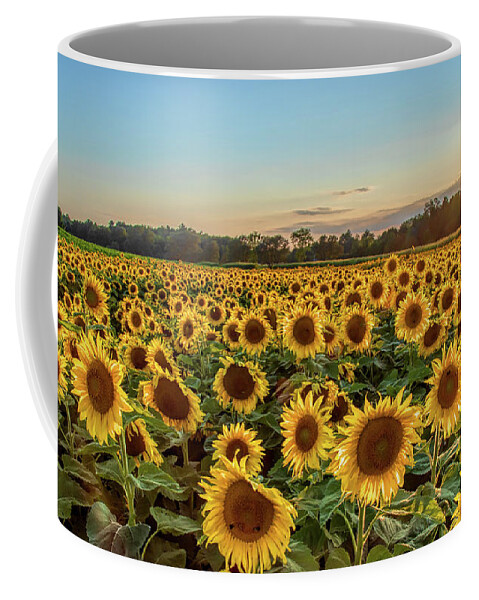 Sunflower Coffee Mug featuring the photograph Sunflower City by Rod Best